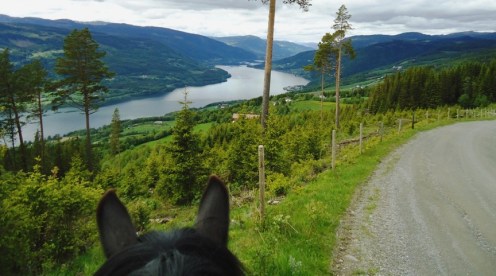 Frøya kikker utover Gudbrandsdalslågen