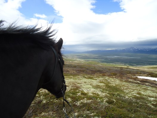 Dovrefjell, fra pilegrimsvandringen Hamar - Nidaros 2012