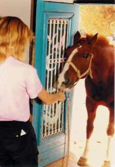 Copperlad, Hellas 1985.