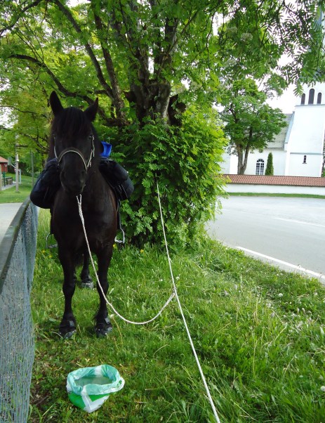 Pilegrimsvandring, 1te etappe, pause v/ Furnes kirke Rigsaker.