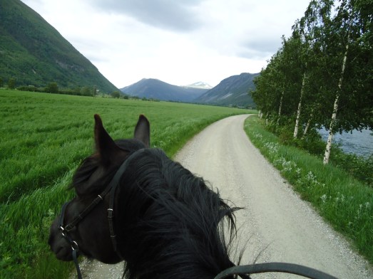 Baksidevegen mot Sel.