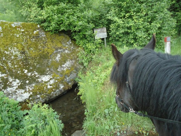St. Olavskilden ved . Her skal Olav Den Hellige ha latt hesten sin få drikke.
