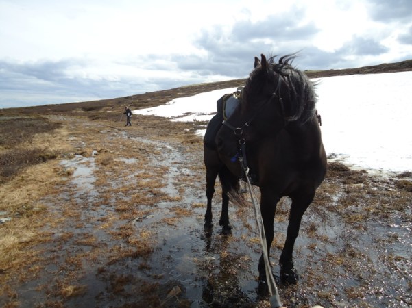 Tøff etappe over Dovre