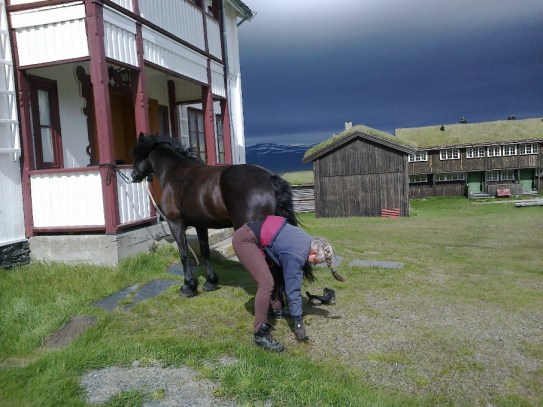 Frøya klargjøres og får på boots før dagens etappe.