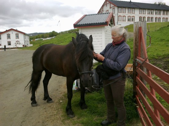 Frøya klargjøres for dagens vandring fra Hjerkinn til Kongsvold.
