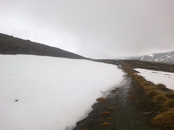 Dovre mellom Kongsvold og Ryphusan.