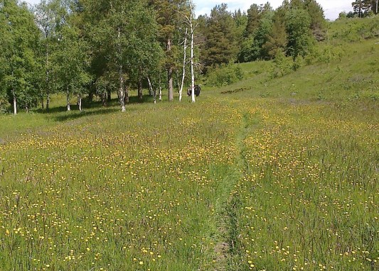 Tonje og Frøya venter på Svein på vei inn i Oppdal.