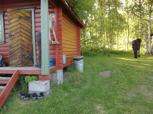 Frøya på Imi stølen.