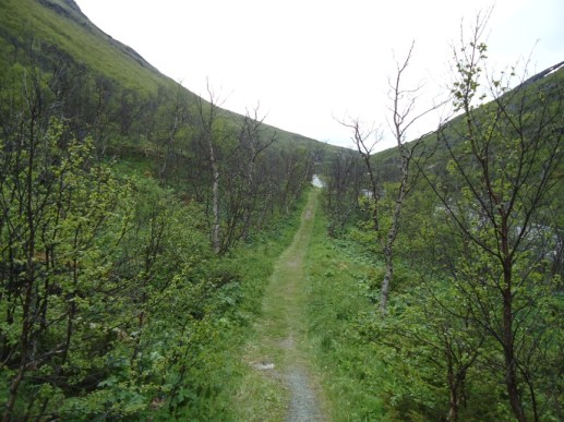 Vårstigen - vi ser oss tilbake, der vi kom fra.