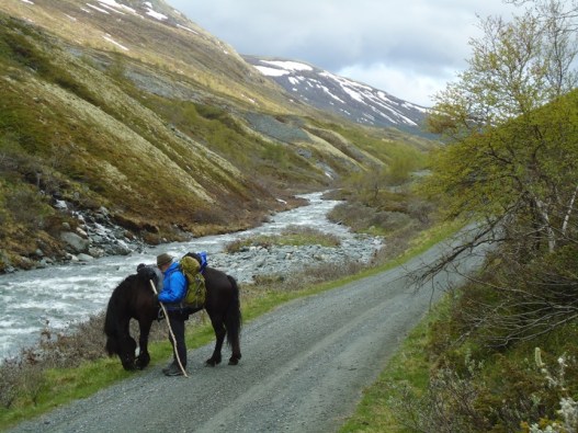 Frøya og Svein på veien nedenfor Ryphusan.