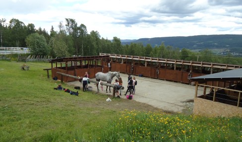 Rideleir på Langklopp