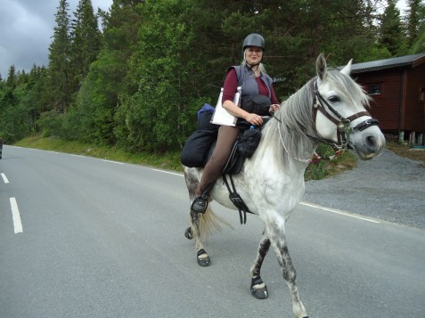 På vei mellom Langklopp og Meslo i Rennebu, 2016.