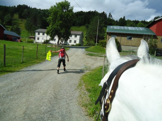 Ankommer Meslo i elegant stil.