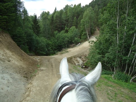 Her er leden endret!