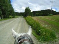 Vi har tatt av fra 501 og er på vei mot Storbuan gård. 
