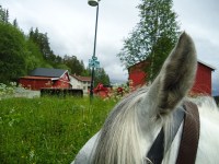 Ankommer Storbuan gård.