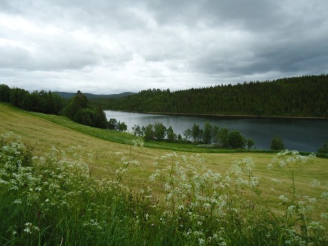 Utsikt over Buvatnet, Storbuan gård. 