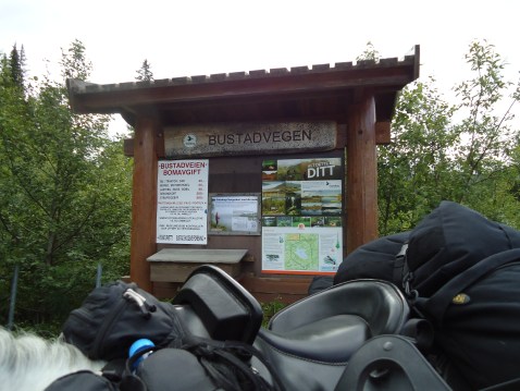 Aamotveien på Stavelimoen. 