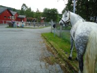 Foran barnehagen i Skaun.