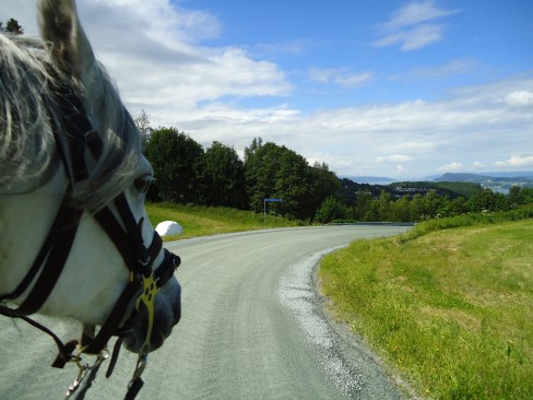 Begynner nedstigningen og treffer på pilegrimsleden før Kleivan.