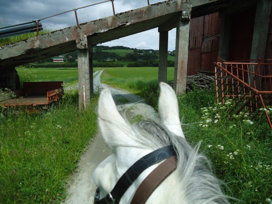 Pilegrimsleden går under låvebrua på vei mot Skjefstad.