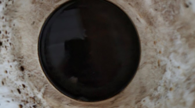 Bukta og begge endene